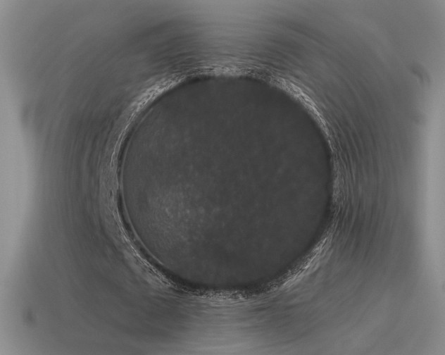 X0000115480673200911061218