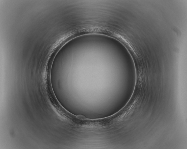 X0000115480674200911061218