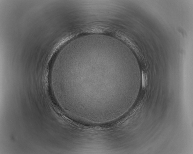 X0000115480675200911061218