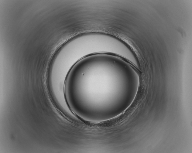 X0000115480677200911061218