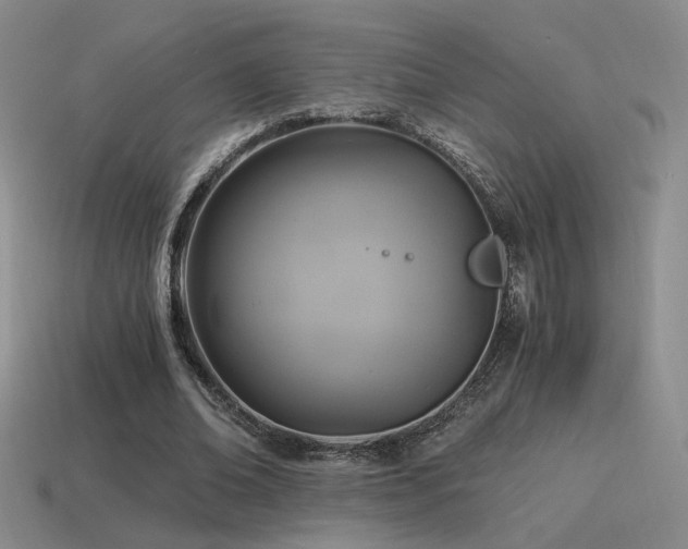 X0000115480678200911061218