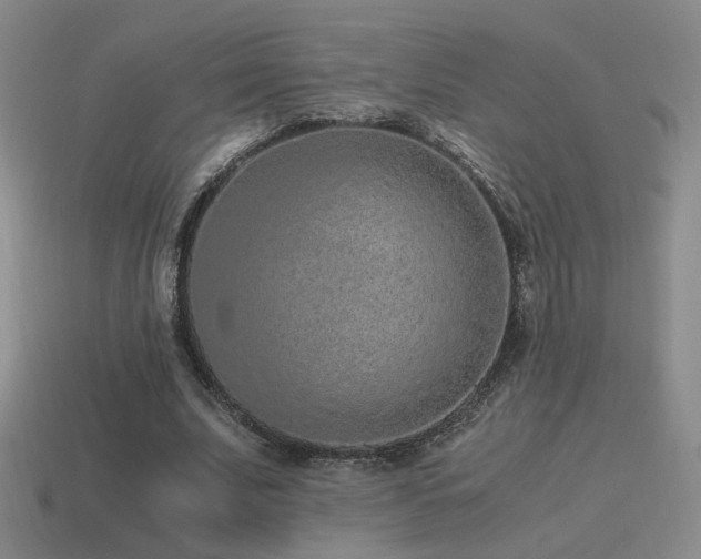 X0000115480679200911061218