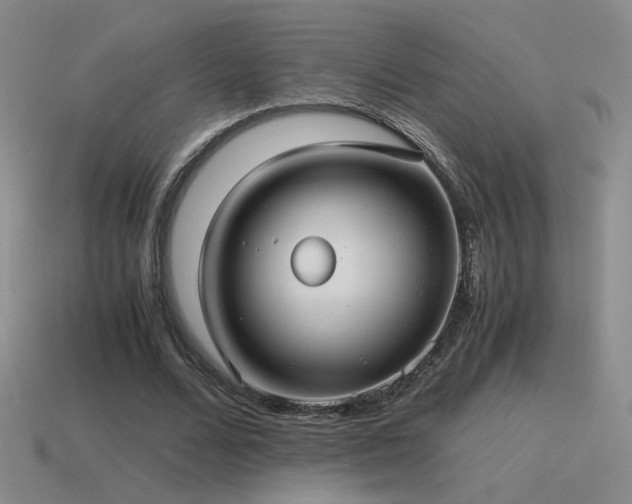 X0000115480680200911061218