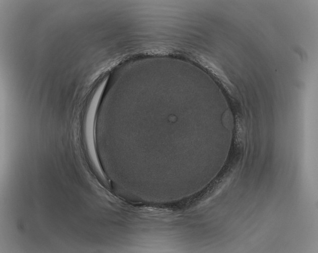X0000115480681200911061218