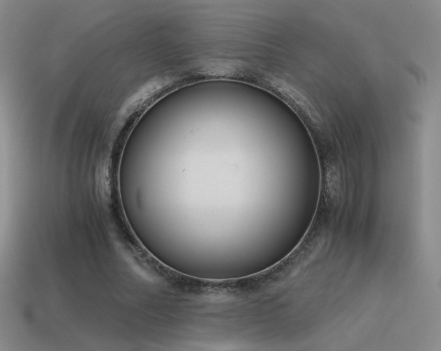X0000115480682200911061218