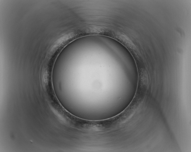 X0000115480683200911061218