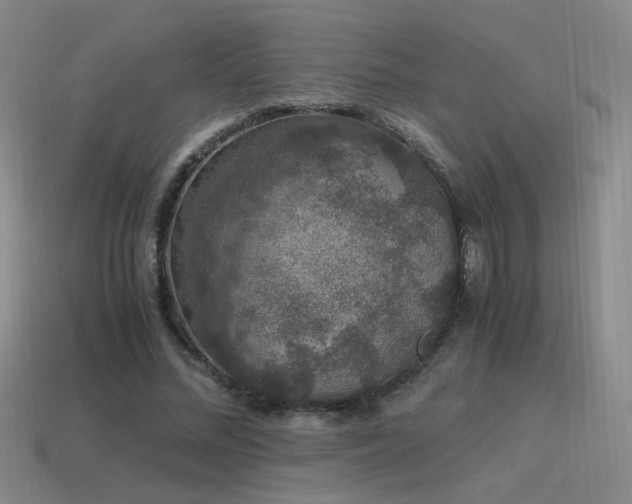 X0000115480684200911061218