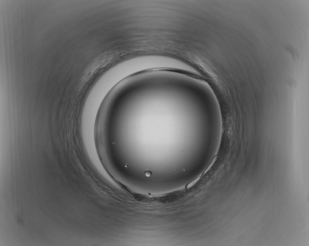X0000115480685200911061218