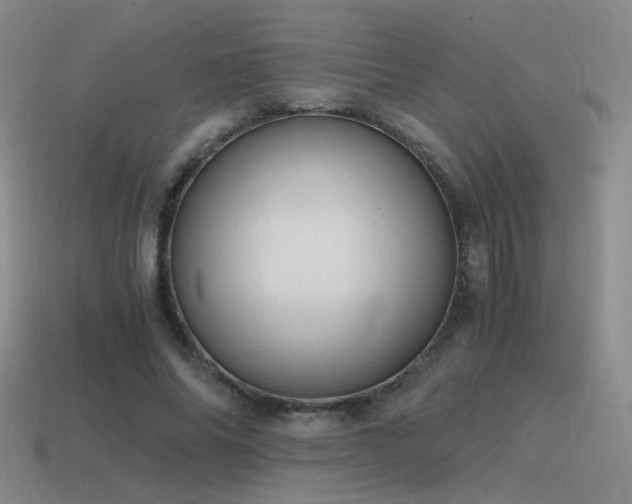 X0000115480686200911061218