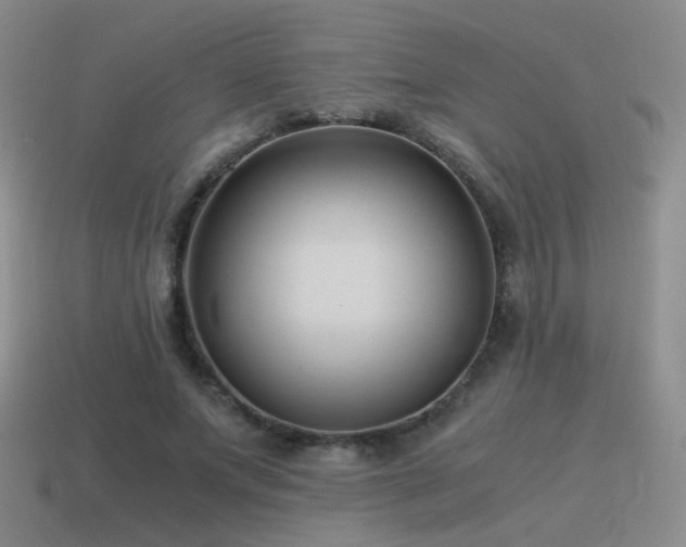 X0000115480687200911061218