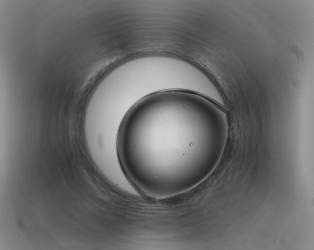 X0000115480688200911061218
