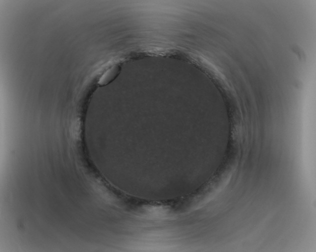 X0000115480689200911061218