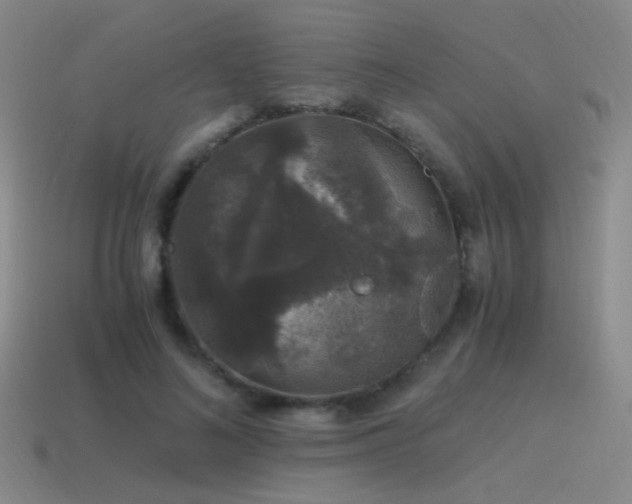 X0000115480692200911061217