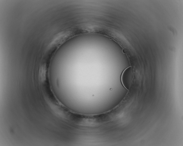 X0000115480694200911061217