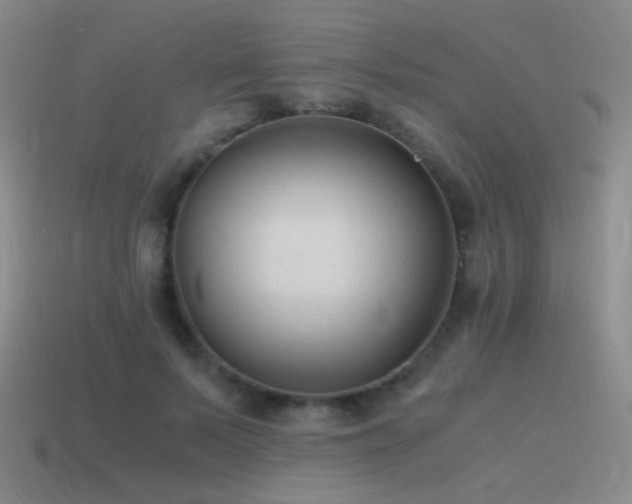 X0000115480695200911061217