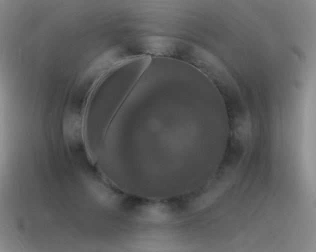 X0000115480696200911061217