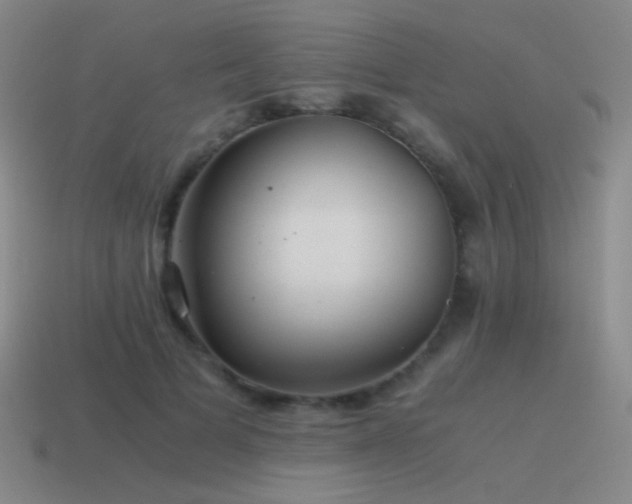 X0000115480697200911061217