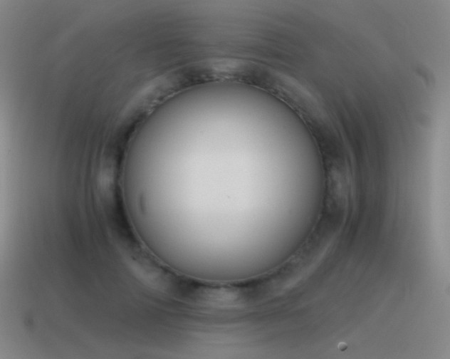 X0000115480698200911061217