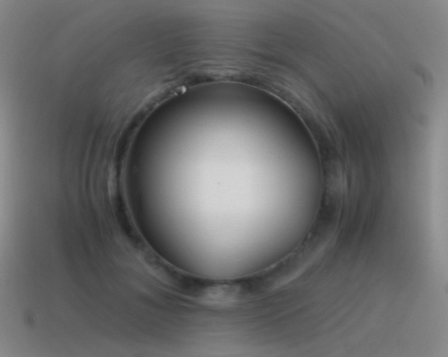 X0000115480700200911061217