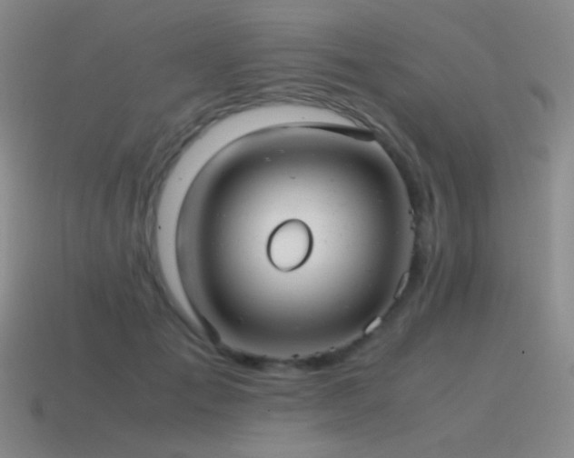 X0000115480701200911061217