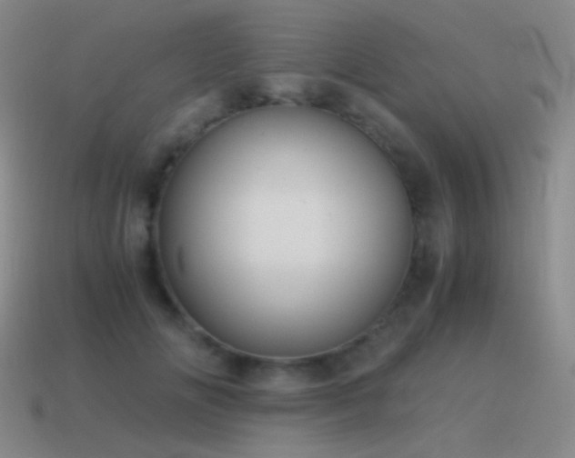 X0000115480702200911061217