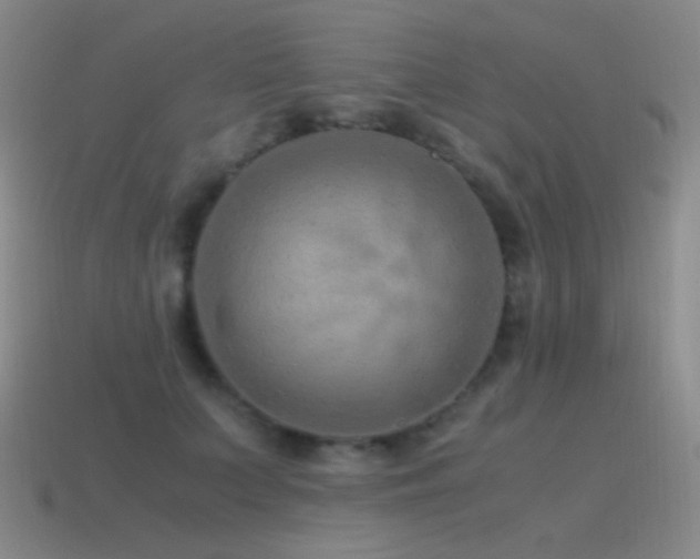 X0000115480703200911061217