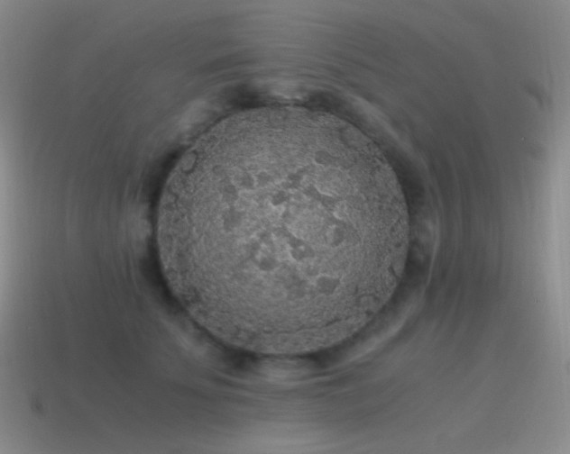 X0000115480707200911061217