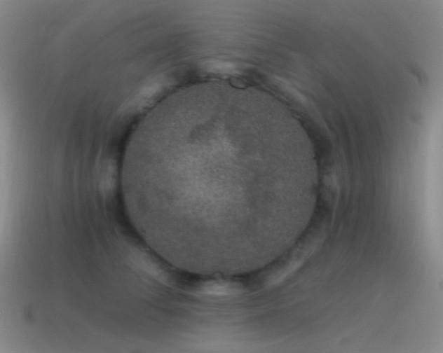 X0000115480708200911061217