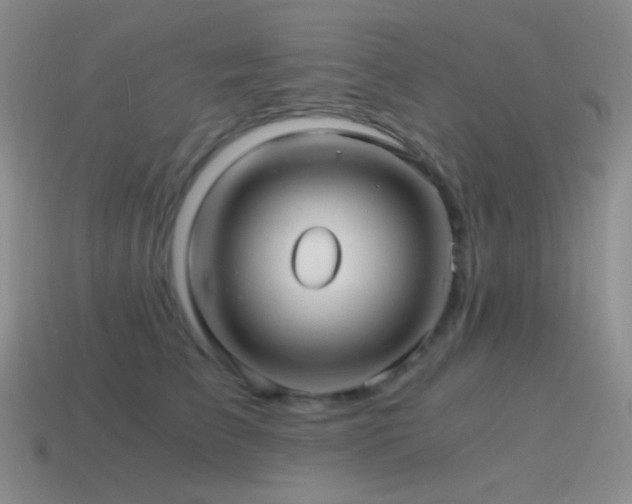 X0000115480709200911061217