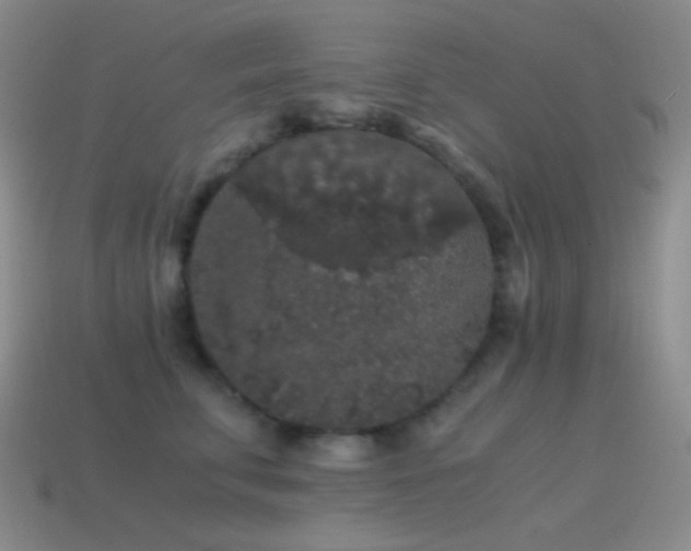 X0000115480711200911061217