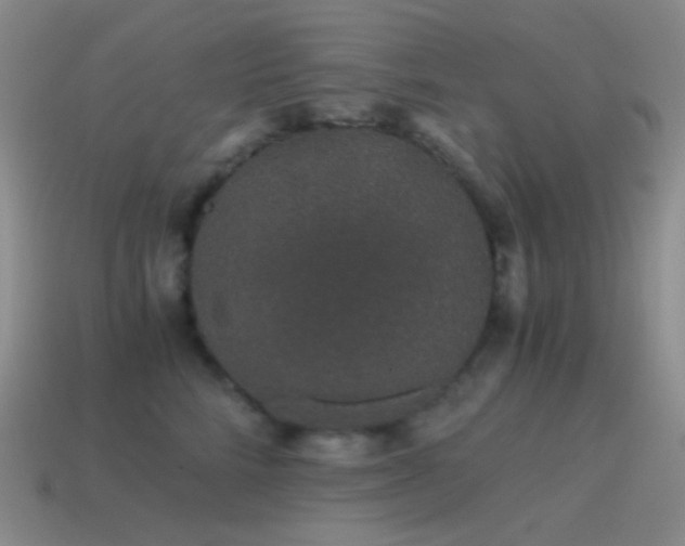 X0000115480712200911061217