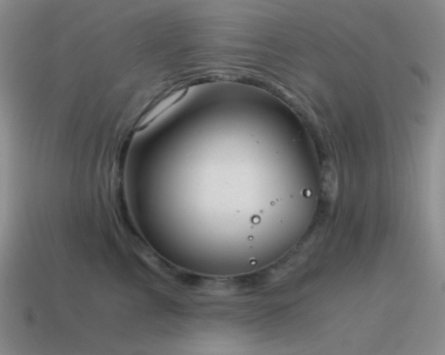 X0000115480713200911061217