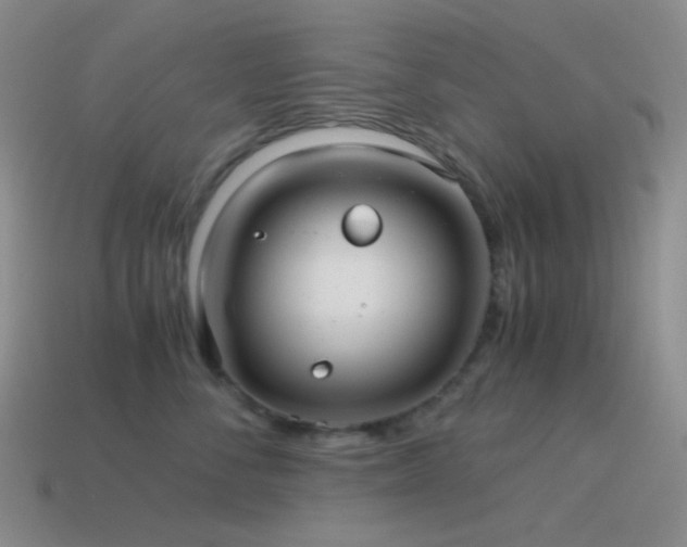 X0000115480716200911061217