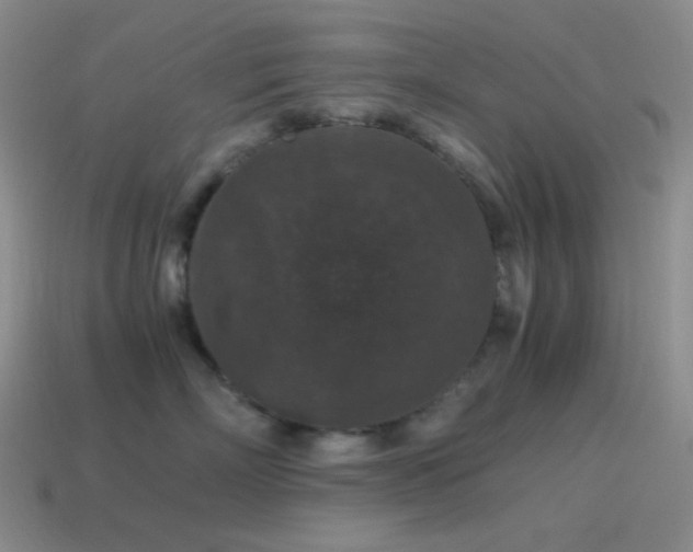 X0000115480718200911061217