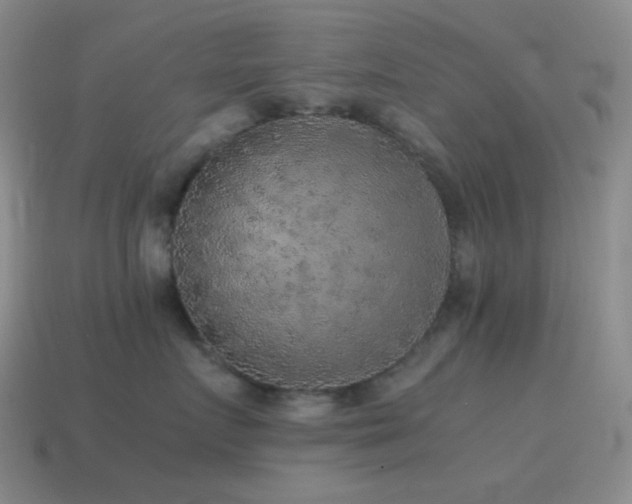 X0000115480719200911061217