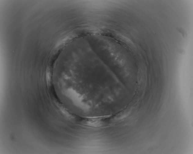 X0000115480720200911061217