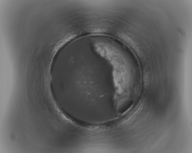 X0000115480721200911061217