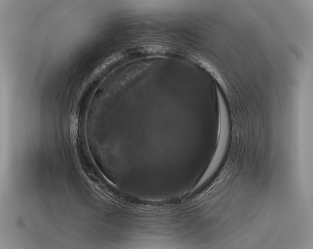 X0000115480722200911061217