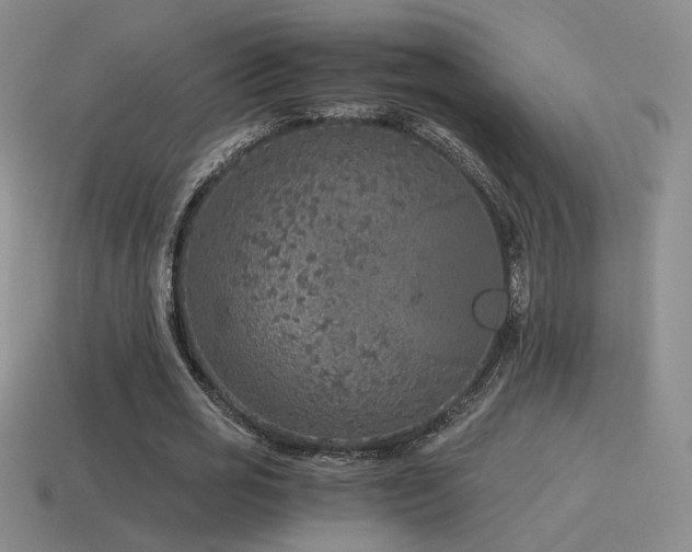 X0000115480725200911061217