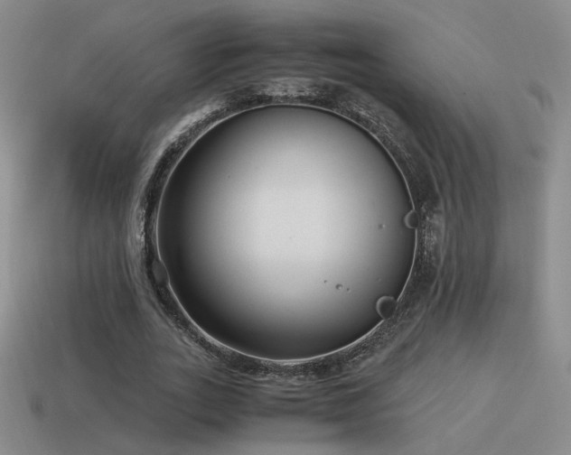 X0000115480727200911061217