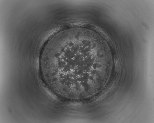 X0000115480729200911061217