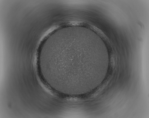 X0000115480730200911061217