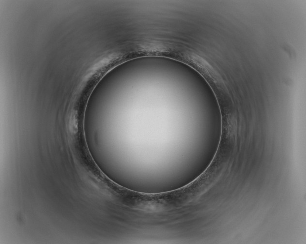 X0000115480731200911061217