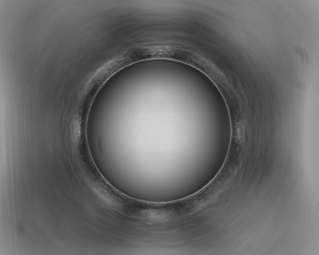 X0000115480733200911061217