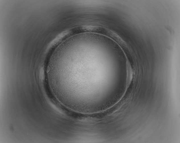 X0000115480734200911061217
