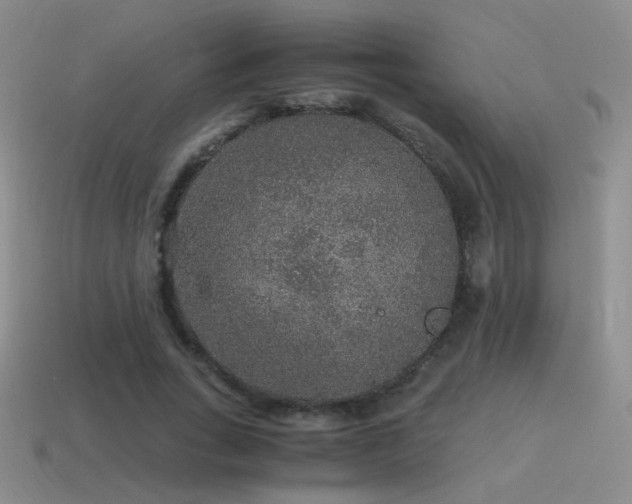 X0000115480735200911061217