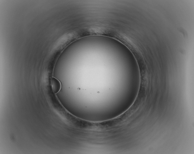 X0000115480738200911061217