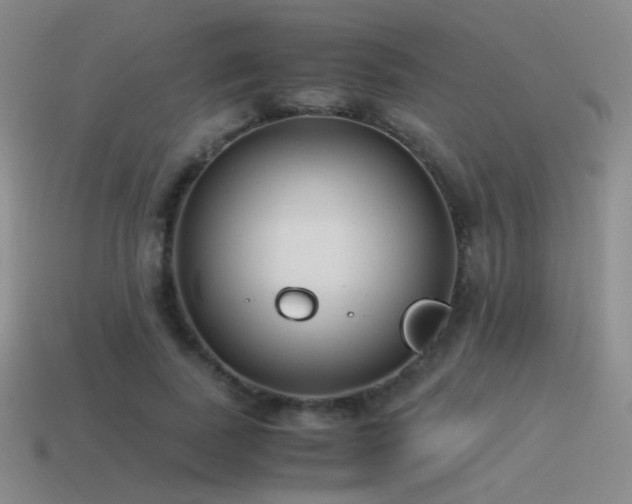 X0000115480739200911061217