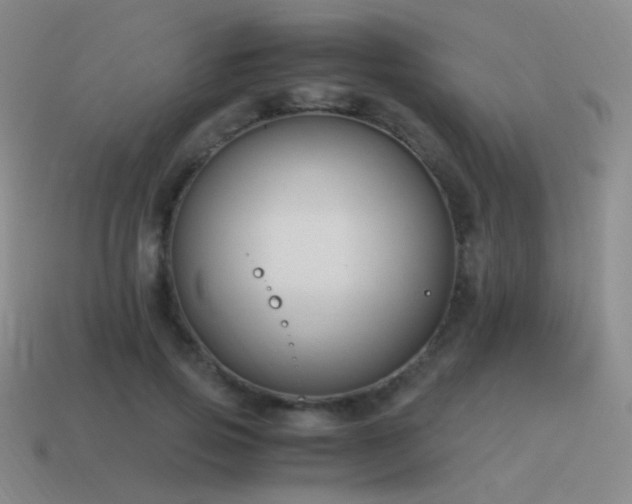 X0000115480741200911061217