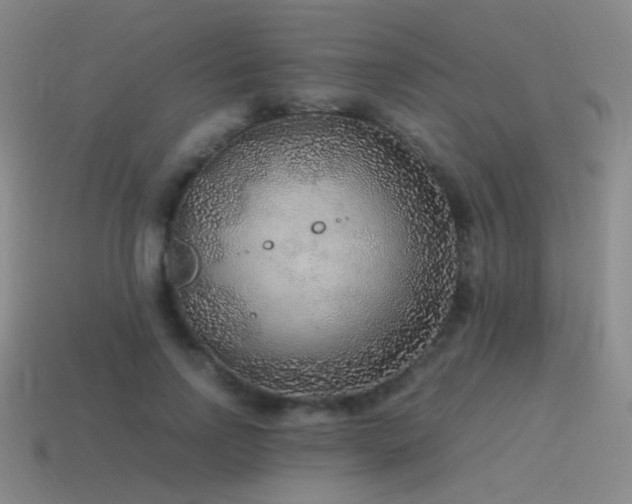 X0000115480742200911061217